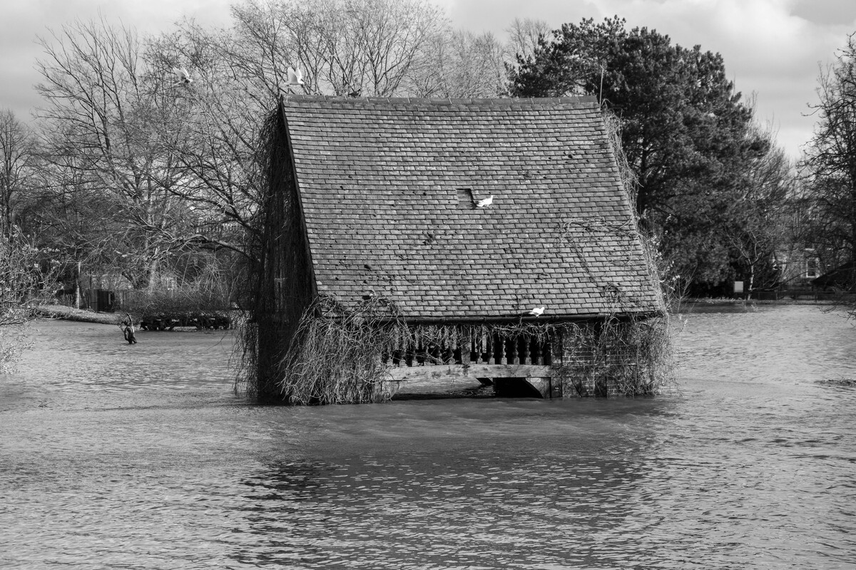 Rowntree Park Floods
